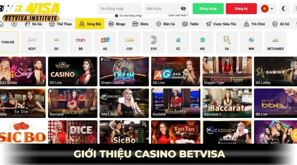 giới thiệu live casino betvisa