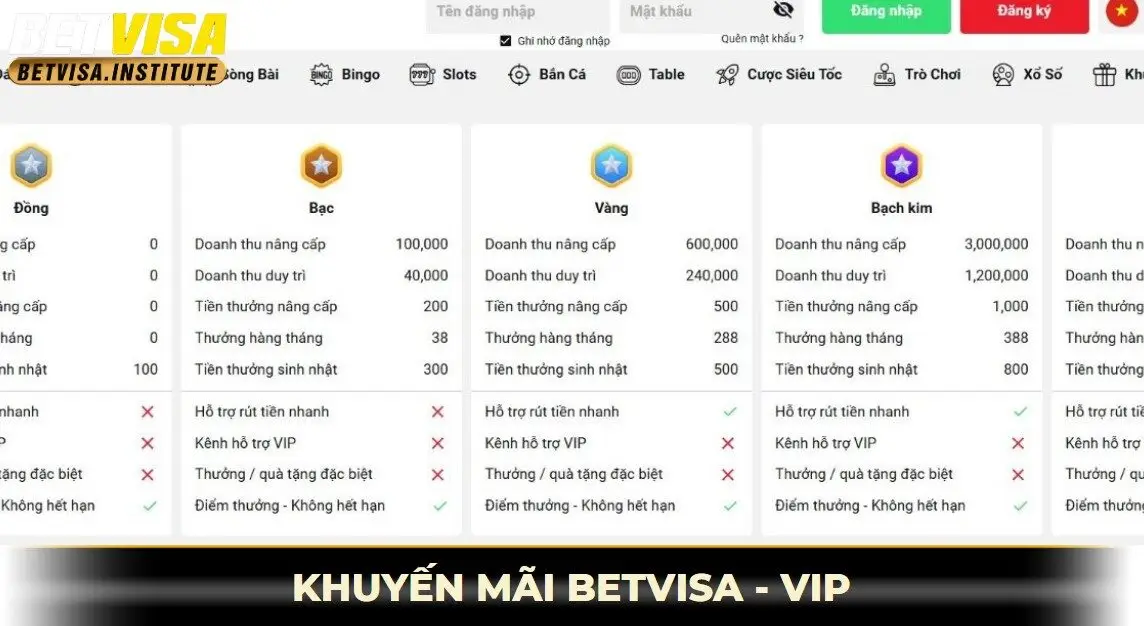 Khuyến mãi betvisa - VIP