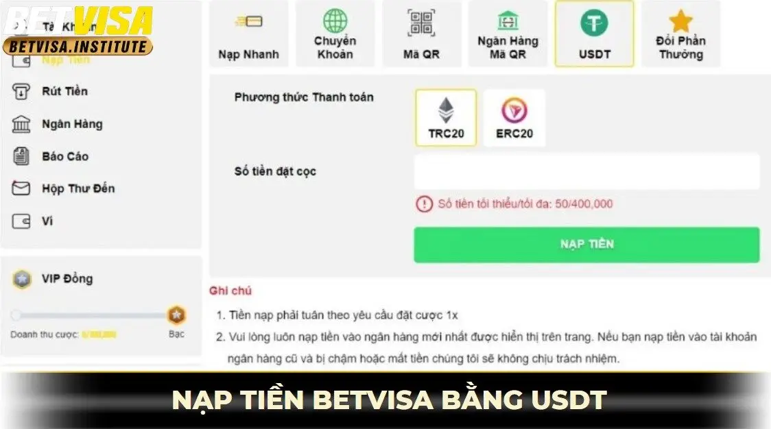 Nạp tiền betvisa bằng usdt