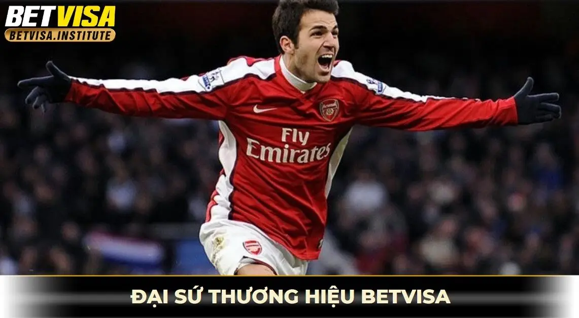 Thông tin cesc fabregas, đại sứ thương hiệu betvisa